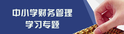 中小学财务管理